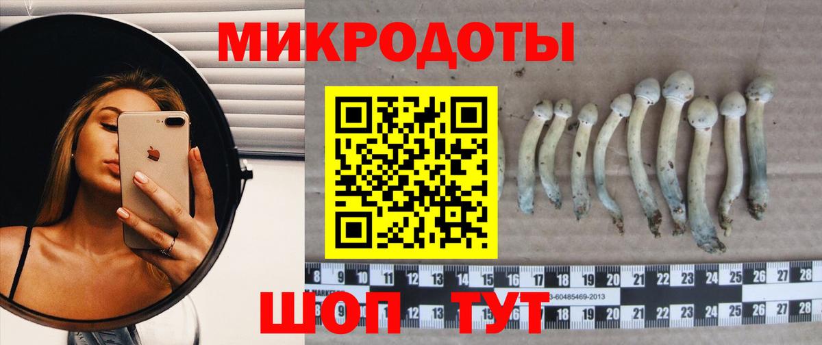 Галлюциногенные грибы мицелий  Вход с VPN  Медногорск 